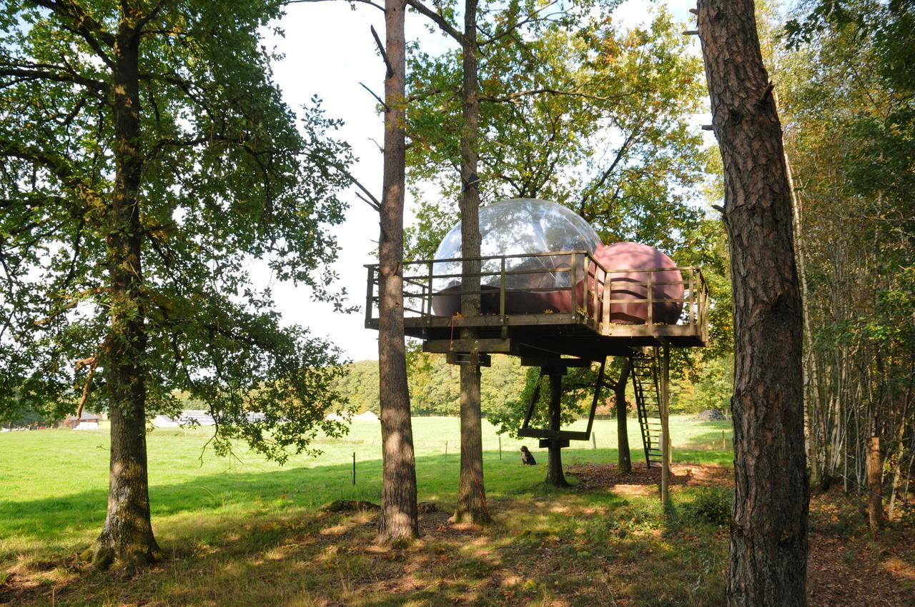 Sphair Perchee Hotel Fisenne Kültér fotó
